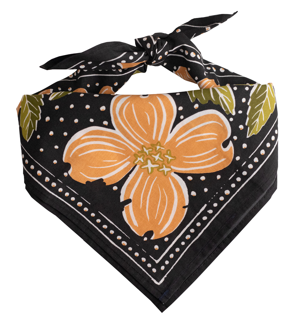Amy Bandana No. 046